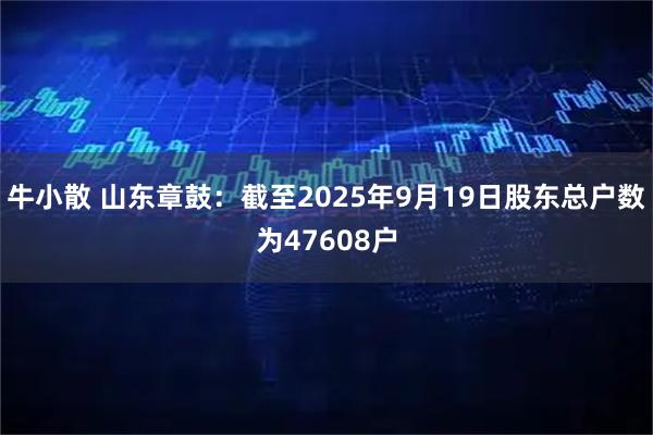 牛小散 山东章鼓：截至2025年9月19日股东总户数为47608户