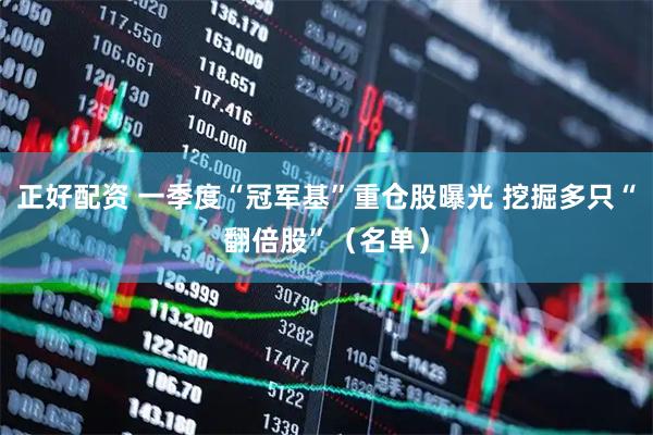 正好配资 一季度“冠军基”重仓股曝光 挖掘多只“翻倍股”（名单）