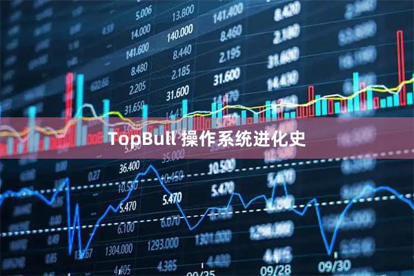 TopBull 操作系统进化史