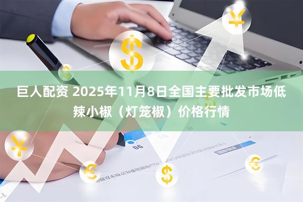 巨人配资 2025年11月8日全国主要批发市场低辣小椒（灯笼椒）价格行情