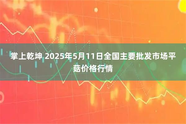 掌上乾坤 2025年5月11日全国主要批发市场平菇价格行情