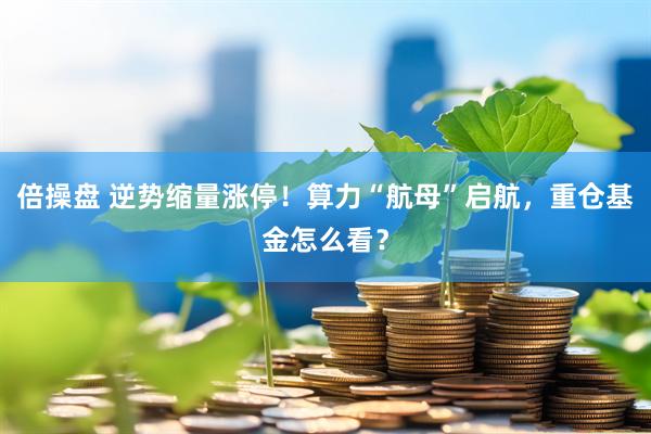 倍操盘 逆势缩量涨停！算力“航母”启航，重仓基金怎么看？