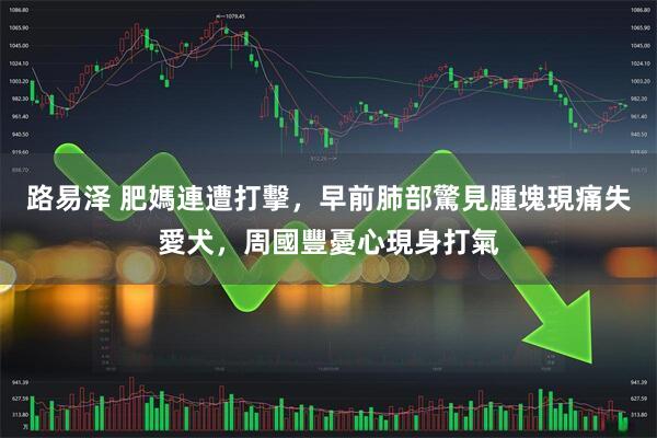 路易泽 肥媽連遭打擊，早前肺部驚見腫塊現痛失愛犬，周國豐憂心現身打氣