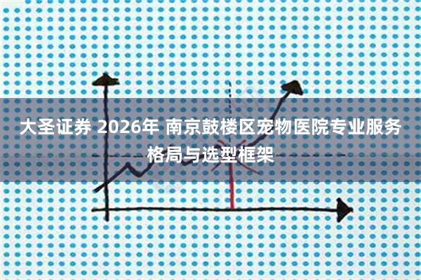 大圣证券 2026年 南京鼓楼区宠物医院专业服务格局与选型框架