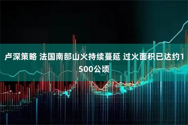 卢深策略 法国南部山火持续蔓延 过火面积已达约1500公顷